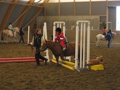 estekisat_10.jpg - Estekilpailut huhtikuu 2007: Pepita ja Allu verryttelyss�