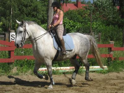 aikuiset_2_tessu.jpg - Tessu ja Cimo