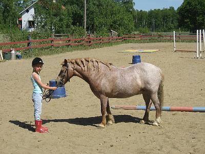 4.jpg - N�yttelyss�: Noora ja Olli