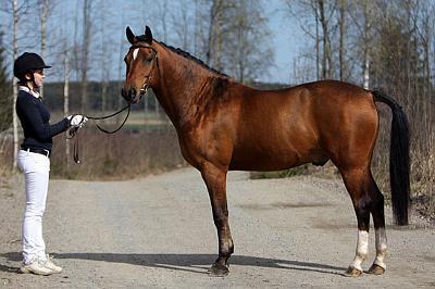 Wester_Norram_Romario_Nld2.jpg - Annika ja Rommi � Mataleena Pesonen