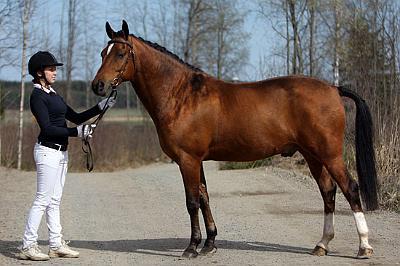 Wester_Norram_Romario_Nld4.jpg - Annika ja Rommi � Mataleena Pesonen