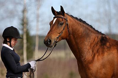 Wester_Norram_Romario_Nld5.jpg - Annika ja Rommi � Mataleena Pesonen