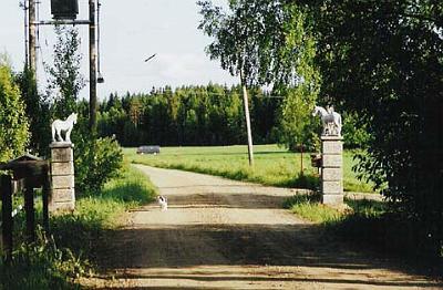 ymparisto2.jpg - Portti tallille