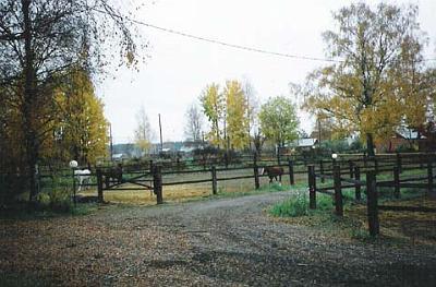 ymparisto3.jpg - Tarhoja